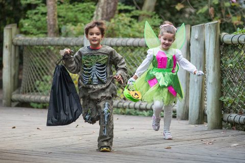 Boo at the Zoo returns this year to the Nashville Zoo. (Amiee Stubbs)
